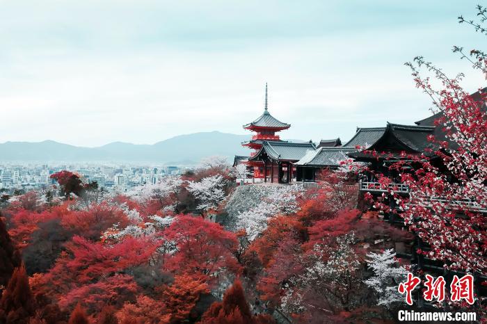日本秋日美景。哈铁国旅供图