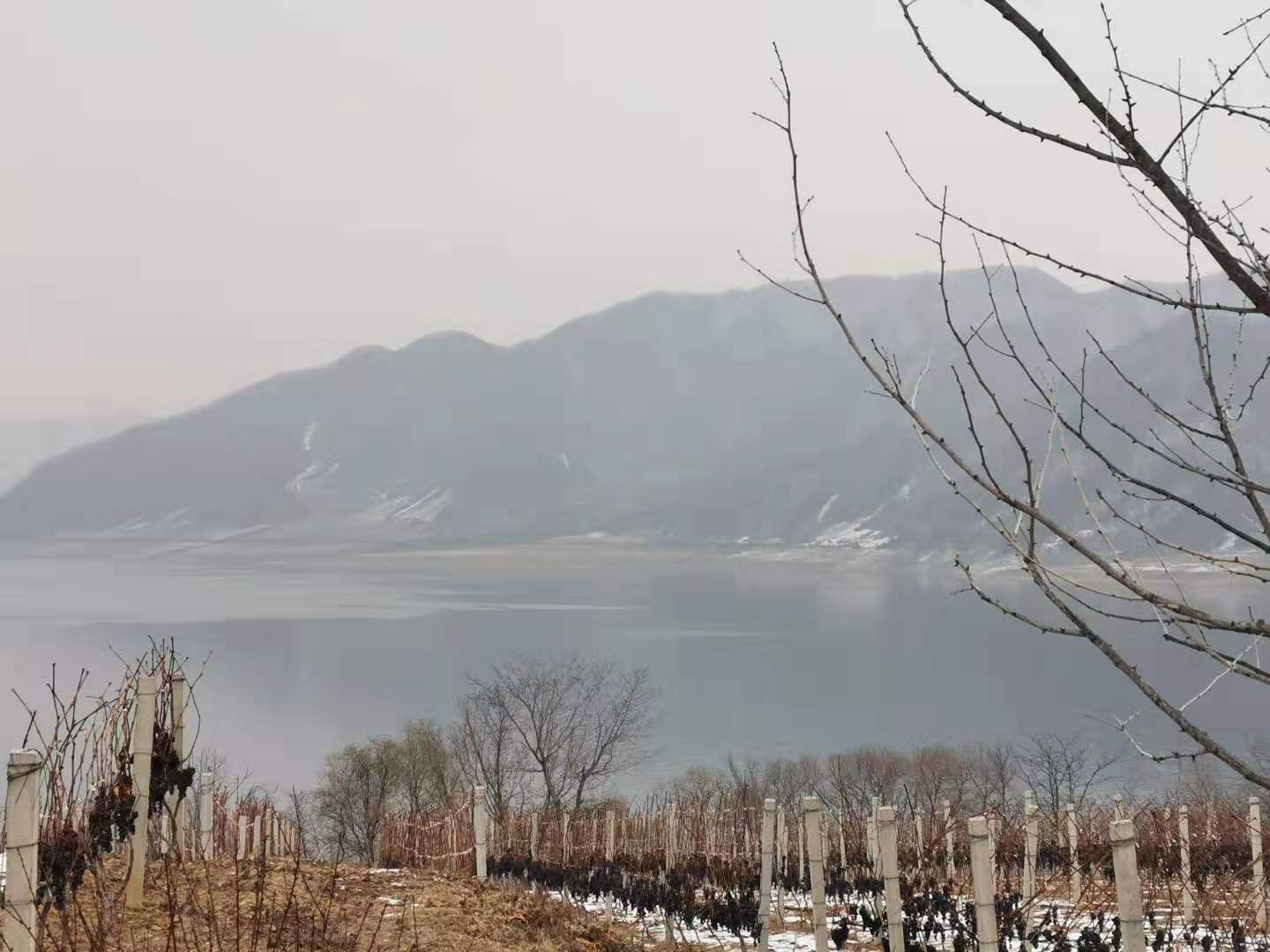 微信圖片_20191209194441.jpg