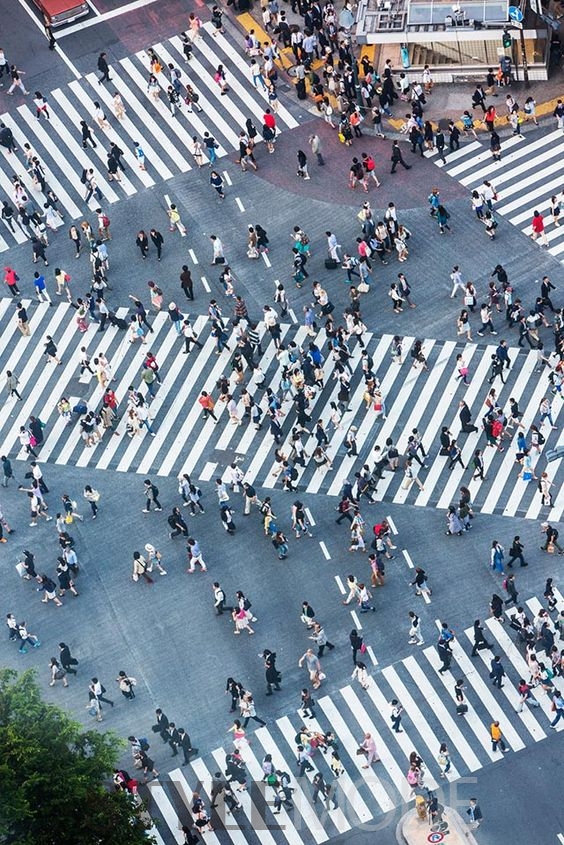 涩谷十字路口