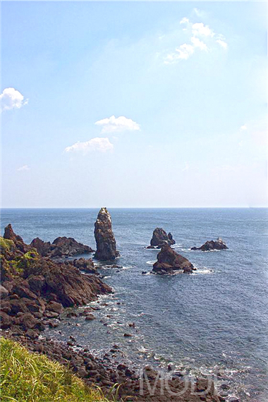 涉地可支