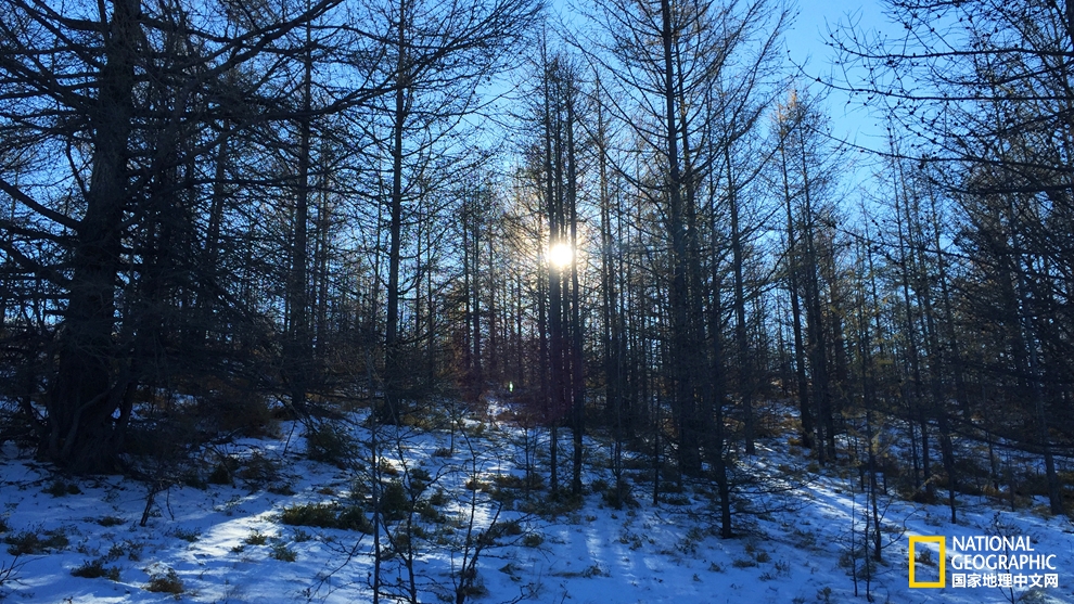 欧洲冬季恋歌｜探寻西伯利亚深邃蓝瞳