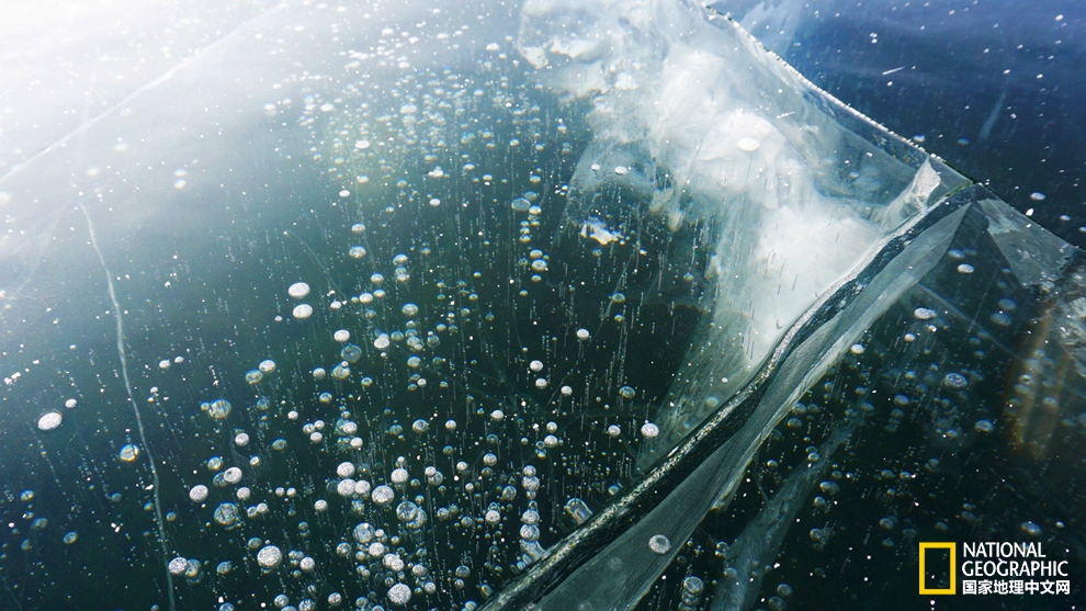 欧洲冬季恋歌｜探寻西伯利亚深邃蓝瞳