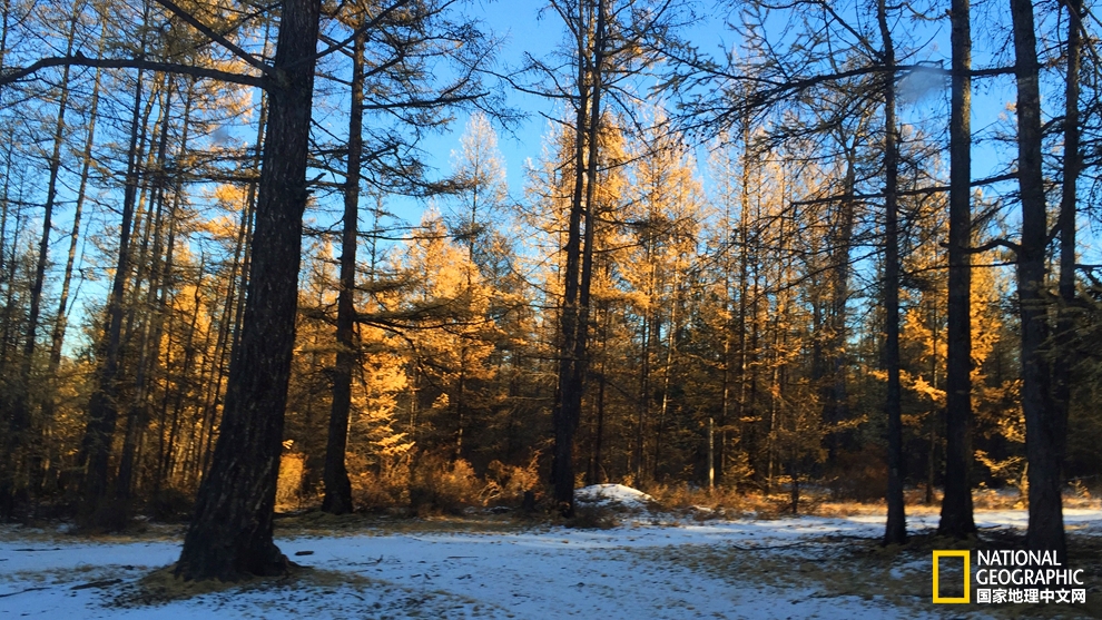 欧洲冬季恋歌｜探寻西伯利亚深邃蓝瞳