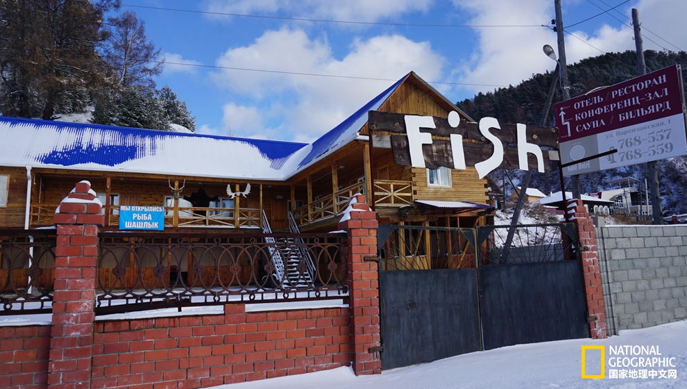 欧洲冬季恋歌｜探寻西伯利亚深邃蓝瞳