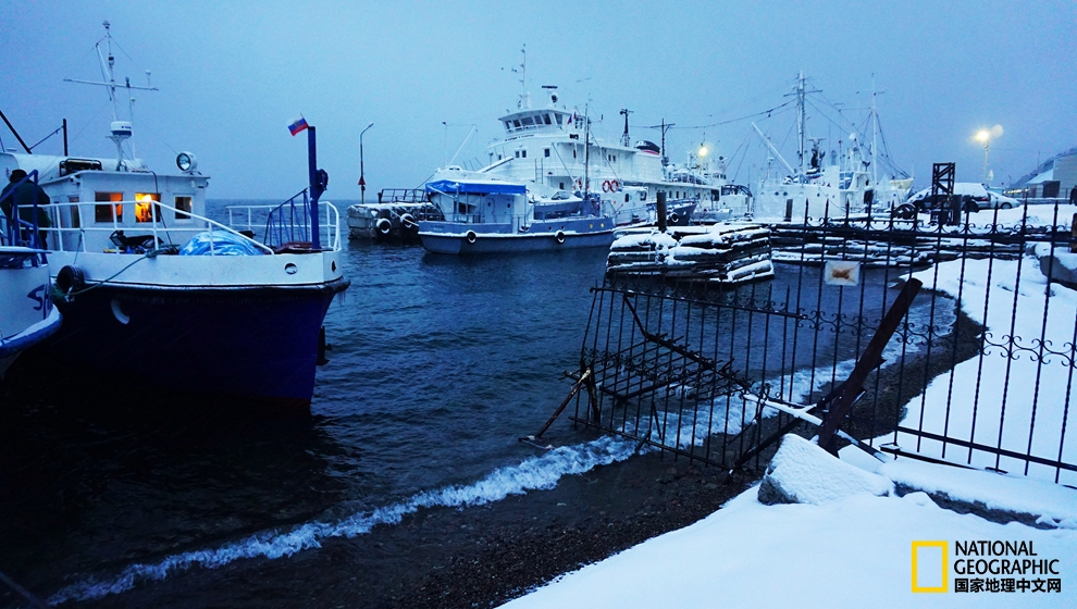 欧洲冬季恋歌｜探寻西伯利亚深邃蓝瞳
