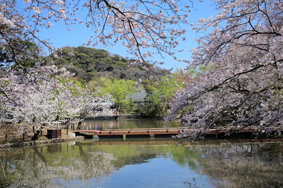 鹤冈八幡宫