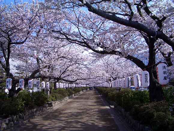 鹤冈八幡宫