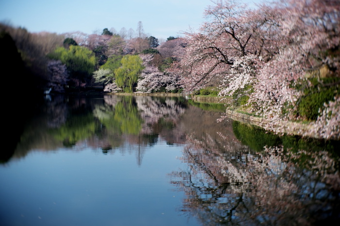 县立三池公园