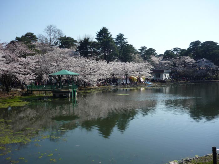 大宫公园