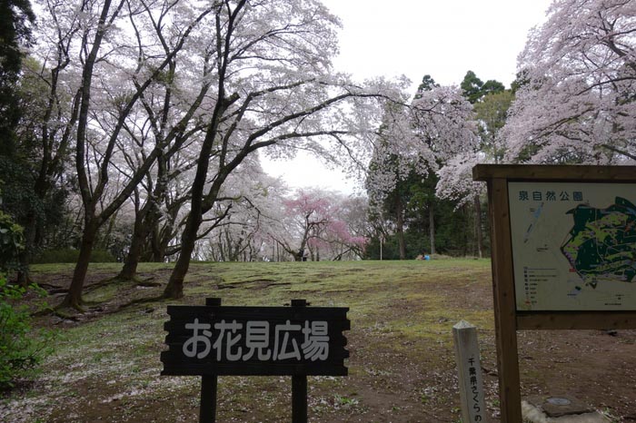 泉自然公园