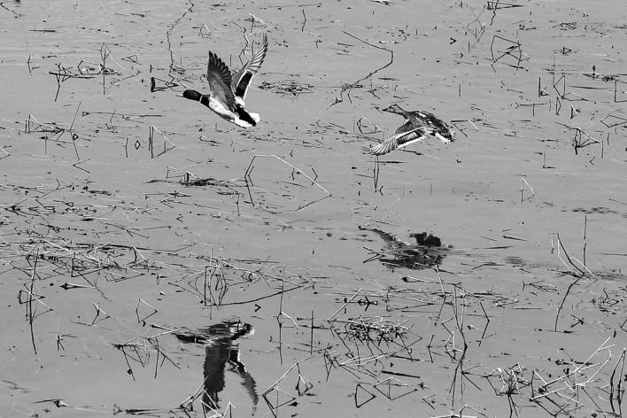 2616ca93-6a2e-4273-b490-8a6b25e0b368.jpg 2616ca93-6a2e-4273-b490-8a6b25e0b368.jpg