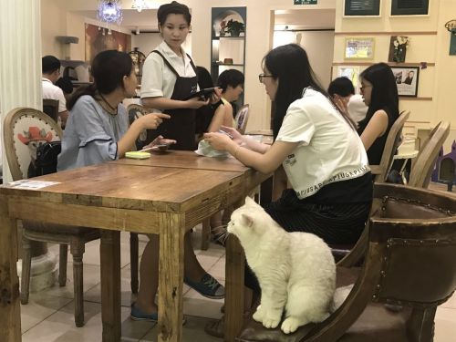 资料图