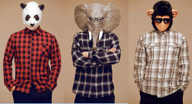 阿里郎组合8月27日晚震撼亮相中外青年歌会