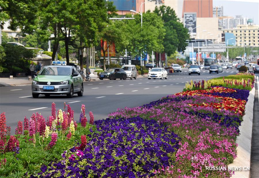 Цветы на улицах города