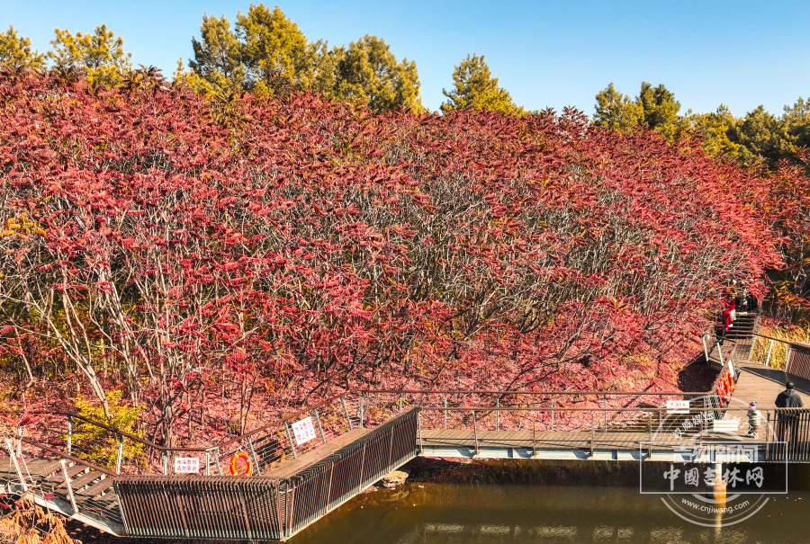 10.24 水文化3.jpg