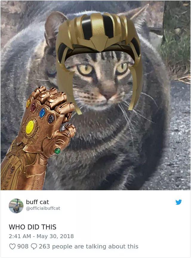 152952896620518d9665c3d.jpg